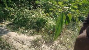 Panjabi Desi Boy Forest Outdoor Handjob