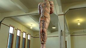 Vertical Suspension, Tickle Torment and Extreme Edging