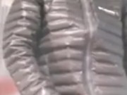 Shiny jacket