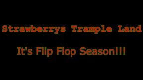 It's Flip Flop Season