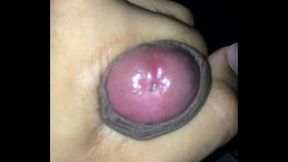 PUNHETA