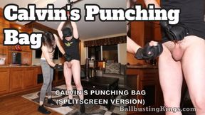 Calvin's Punching Bag (Splitscreen Version)