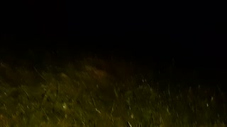 In the rain we had a hot mutual masturbation - IkaSmokS