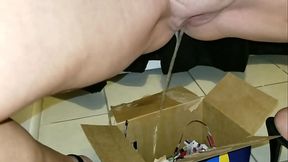 The Party Pee of Ms Paris Rose