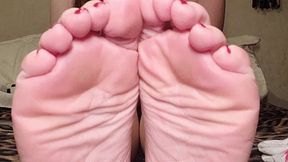 Fuck your Asshole while Worshipping Goddess