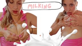 Milking milk Sweet, Warm Milk for You