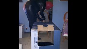 analzebutt sissy surprise in a box