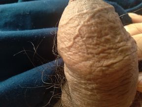 delicious gay cock