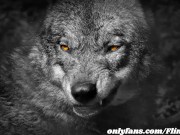 Flint Angel Wolf - Solo Cumshot - onlyfans.com/Flint-Wolf