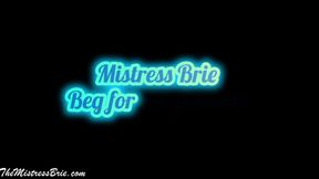 Beg for Forgiveness