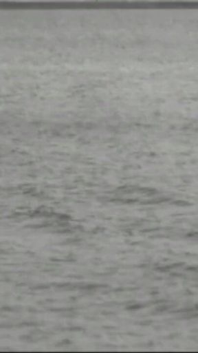 Trailer388