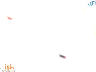 Trailer Gigi loves to have some pleasure and when there're multiple BBCs around this hottie tens to take 'em at the same time. This trio scene between her and Powerful Dre with DatJGuy had alot of impressive moments