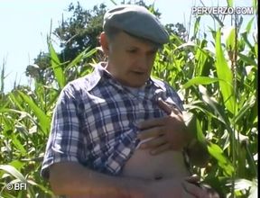 Threesome in the cornfield