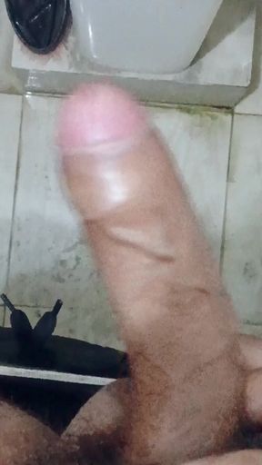 Mera hard land koi to lelo