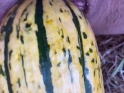 GOURD just too HUGE to fit in my pussy . (HD 11pro)