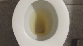 GOLD PISS TOILET PROFIT PERCENT SITTING