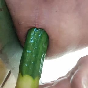 Cucumber