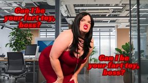 Can l be your personal fart toy, boss
