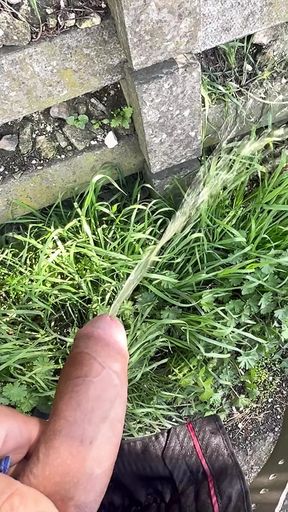 Compilation of Me Taking Long Naughty Piss in Park
