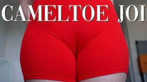 Cameltoe Joi