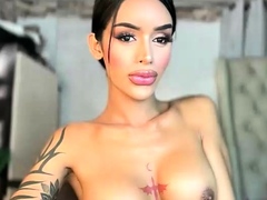 Big Tits Tranny Strokes her Big Cock