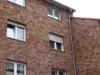 Real German SWINGERS' secret - (Pair #06)