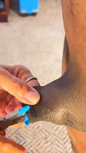 Small cock Tourcher