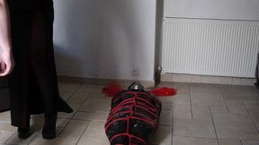 fessee et cane en fibre de verre