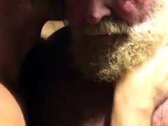 Hairy bears passionate kissing