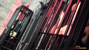 Two thirsty pornstars scream in ecstasy as they're relentlessly pounded