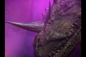 Cunt Lovers Extreme Passion