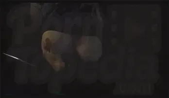 Artemisia Love Flashes Big Tits While Driving – Italian MILF