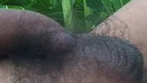 Elite Global Viral Desi Hunk Solo Burst Vol 10 - Premium Faceless Close-up Pure Uncut Stroking 4K