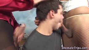 Threeway she-males sucked