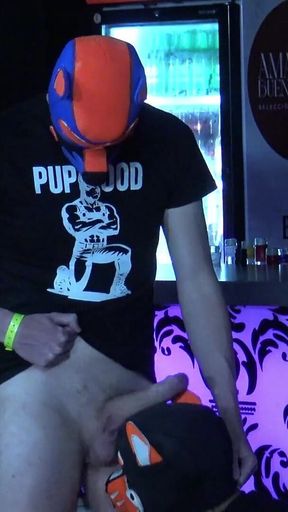 Kinki Kiki Pup