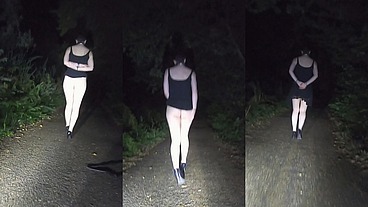 Just a midnight walk along the canal with my Owner