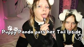 Puppy Panda puts her tail inside