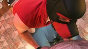 Obedient pup’s ass stuffed sloppy pup mask squeals while sucking raw cock