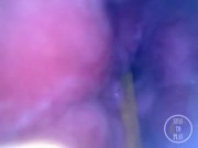 POV: Laying Eggs while You're INSIDE my Ass!