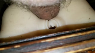 BTM Buzzed and horny! F sexdoll.