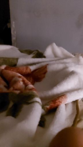 Key moment from &quot;Inappropriate act by stepmother&#039;s stepson after watching a horror film&quot;
