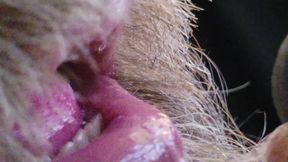 Kissing, Spitting on and Fucking My Stunt Mouth