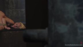 The Captive Slut Under The Stairs