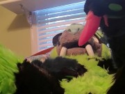 Kitty wants more