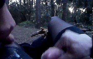 nella pineta di ostia
