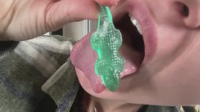 Chew silicone crocodiles mp4