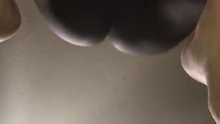 Bbc makes bear scream