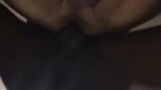 Bbc makes bear scream