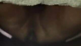 Bbc makes bear scream