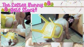 The Easter Bunny Gets Stuck!! - 720p WMV